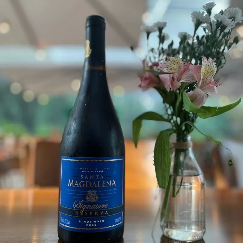 Santa magdalena pinot