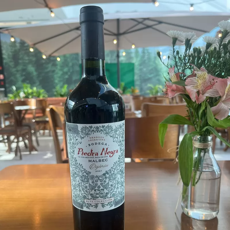 Pietra negra malbec orgânico